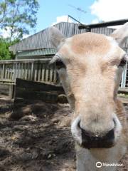 Lyell Deer Sanctuary