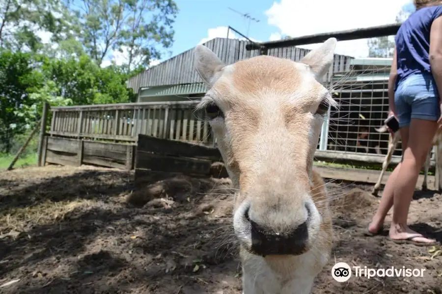 Lyell Deer Sanctuary