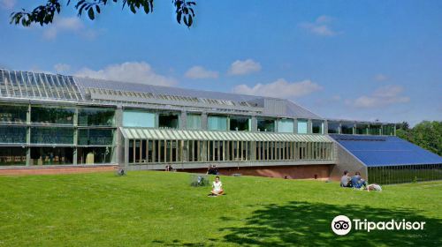 The Burrell Collection