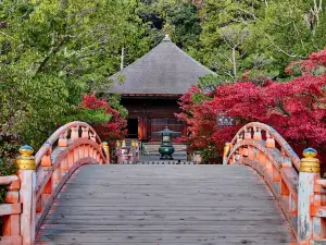 願成寺 白水阿彌陀堂