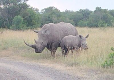 Ol Pejeta Conservancy