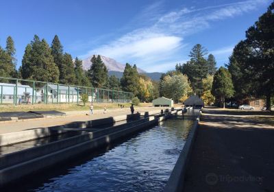 Mount Shasta Fish Hatchery