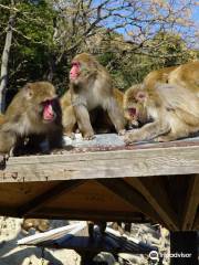 Awaji Monkey Center