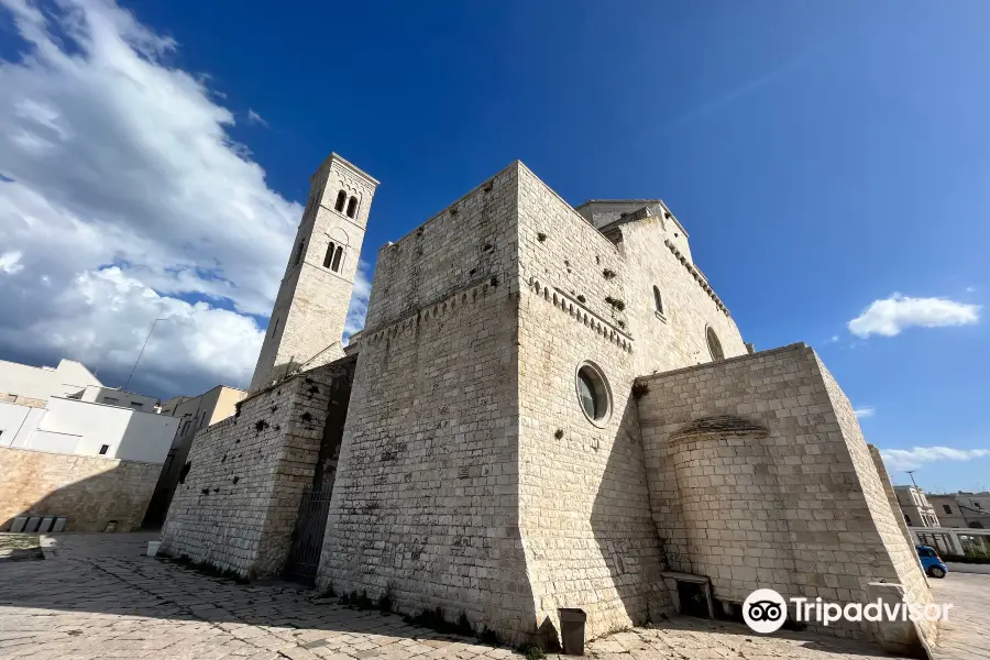 Duomo di Molfetta - Parrocchia San Corrado