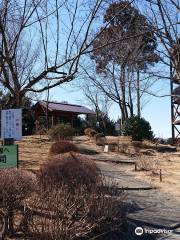 Mt Sengen Hill View Park (Sengenyama Miharashi no Oka Koen)