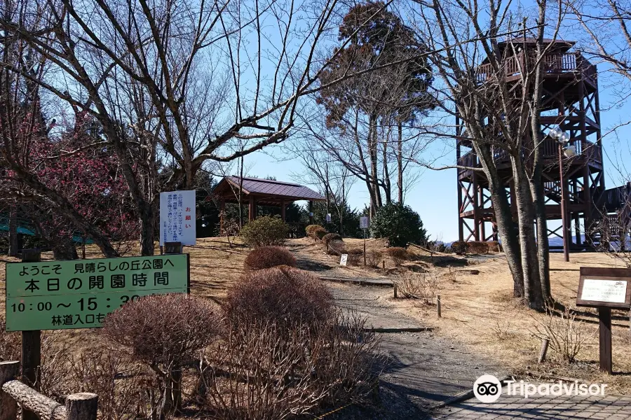 Mt Sengen Hill View Park (Sengenyama Miharashi no Oka Koen)