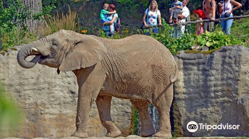 Zoo and Chateau Zlin-Lesna