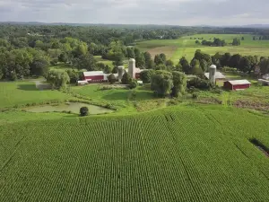 Greig Farm