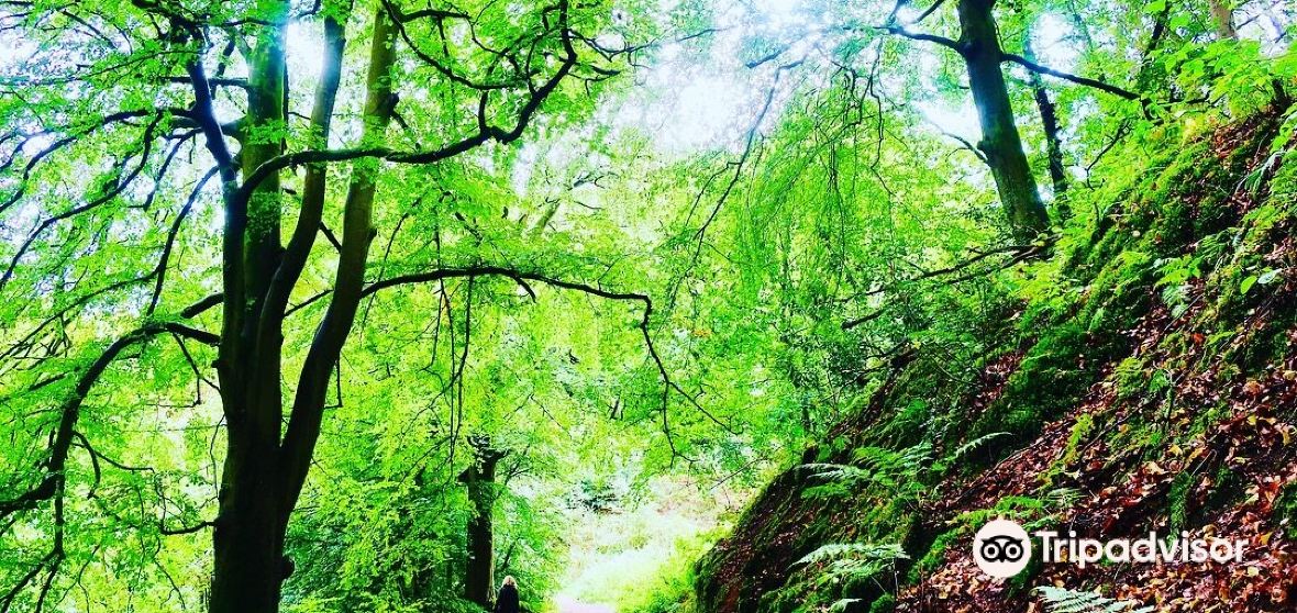 Alton Travel Guide 2024 Things to Do, What To Eat & Tips