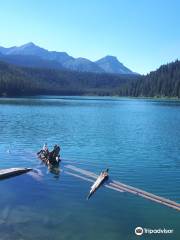 Chinook Lake Campground