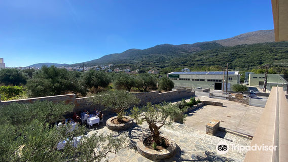 Vassilakis Estate - Olive Tour Crete