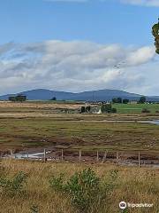 RSPB Udale Bay