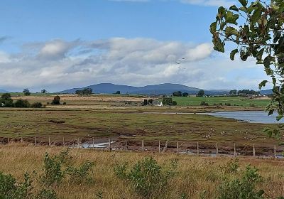 RSPB Udale Bay