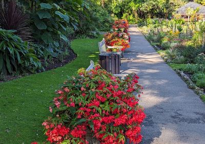 Swansea Botanical Gardens