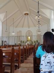 Pink Sisters' Convent and Chapel