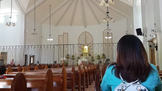 Pink Sisters' Convent and Chapel