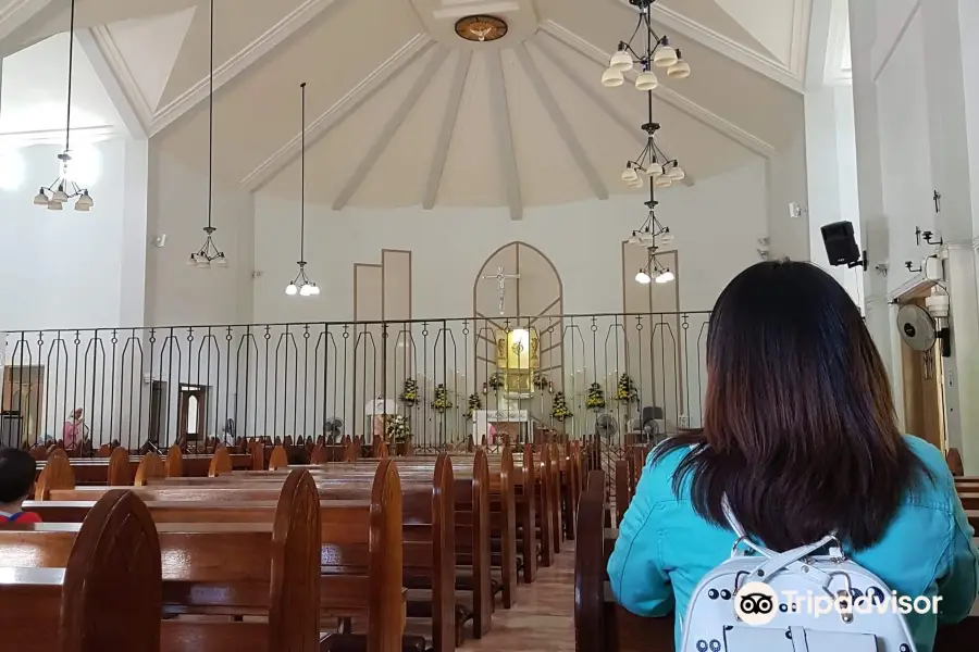 Pink Sisters' Convent and Chapel