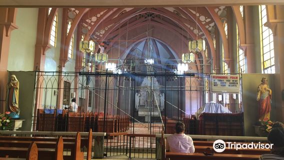 Pink Sisters' Convent and Chapel