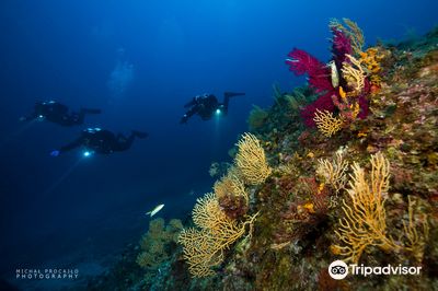B-24 Diving Center-Komiža-Vis-Croatia