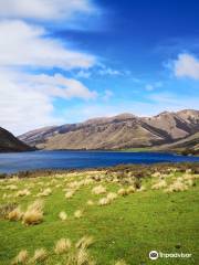 4X4 Adventures NZ