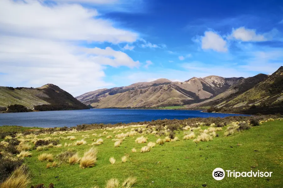 4X4 Adventures NZ