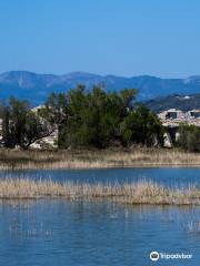 The Alyki wetlands