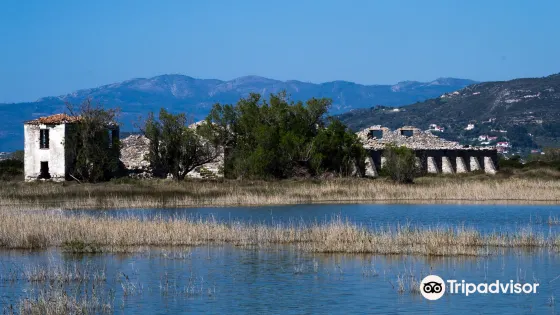 The Alyki wetlands