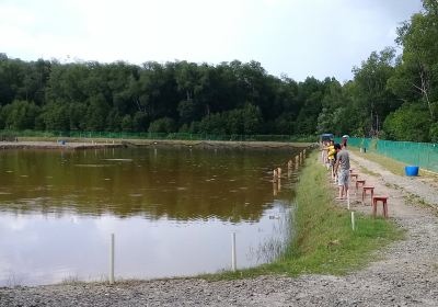 MPR Fishing Pond