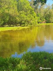 Bamburi Nature Trail