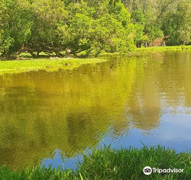 Bamburi Nature Trail