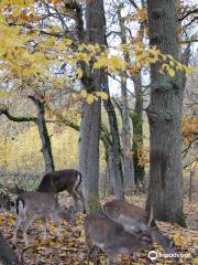 Elistvere Animal Park