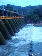 Pazhassi Dam