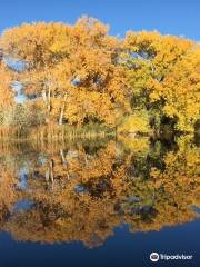 Leonora Curtin Wetland Preserve