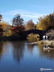 Gapstow Bridge