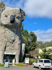 Giant Koala