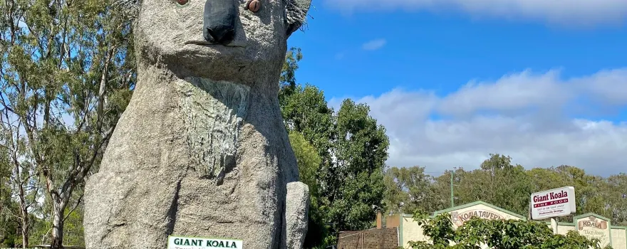Giant Koala