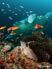 Dharavandhoo Divers