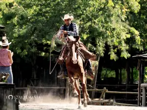 Cowboyland