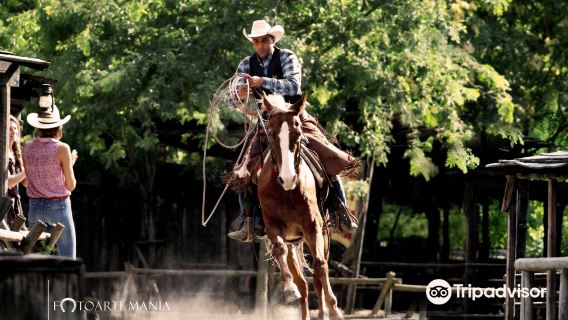 Cowboyland