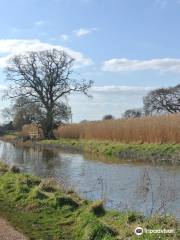 Somerset Towpath