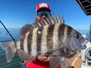 Georgia Sport Fishing Charters