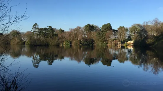 California Country Park