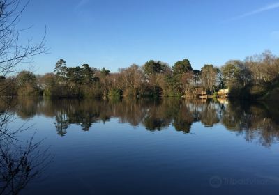 California Country Park