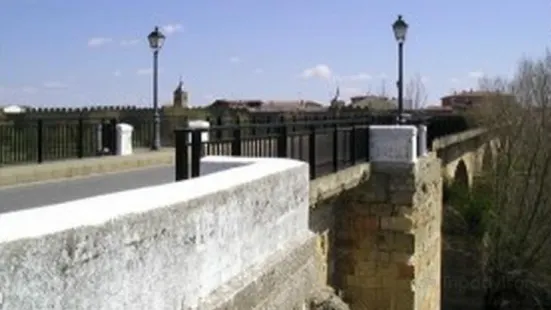 Puente Sobre El Rio Esla