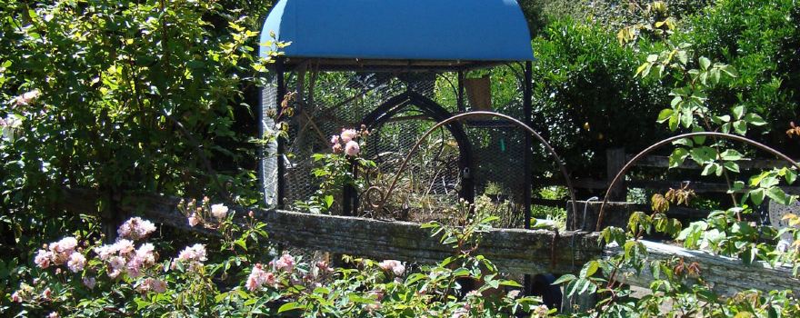Kahikatea Gardens - A New Zealand Country Garden
