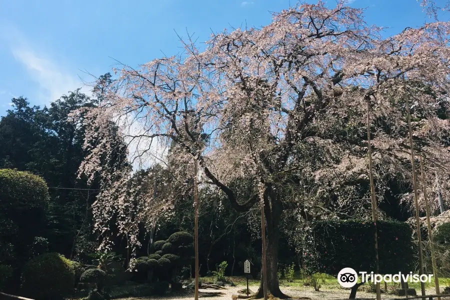 Chokoji