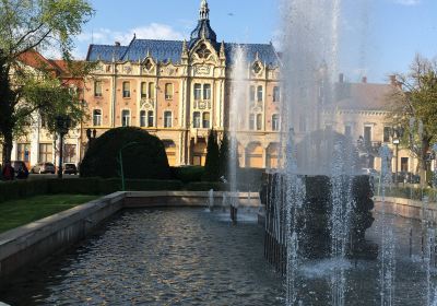 Satu Mare Central Park