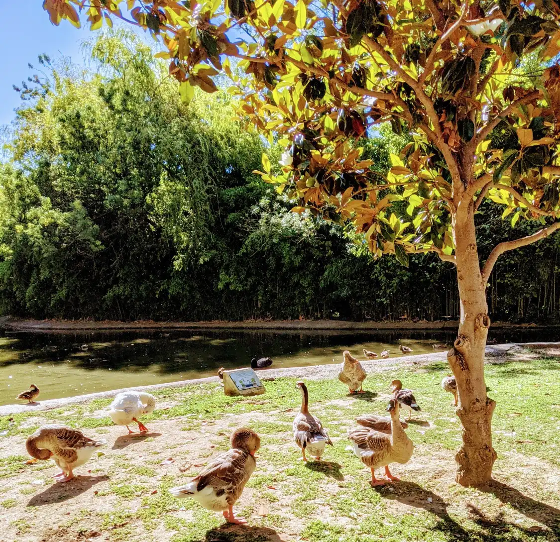 Hotel in zona Parc du Pré Sandin