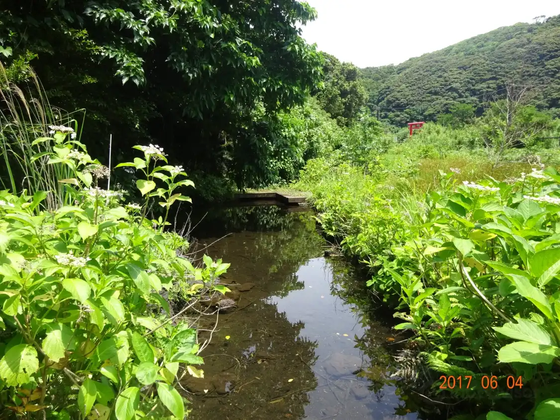 Hotels near Hotaru Suiro