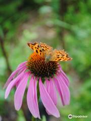 le jardin des plantes à couleurs